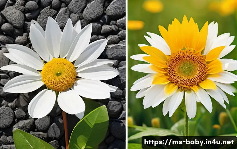 아기 엉덩이 발진 대처법 - Here are three image generation prompts based on the provided text, adhering strictly to your guidel...